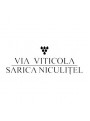 Caii de la Letea Sauvignon Blanc Fumee 2019 Editie Limitata | Via Viticola | Sarica Niculitel
